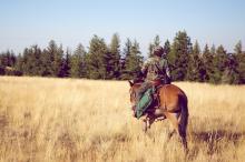 Man hunting on horseback