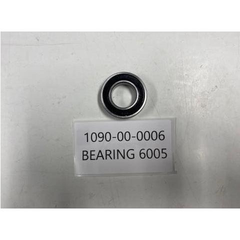 6005 bearing